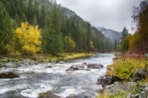 fall colors, lochsa river, idaho