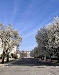 Street near Capital