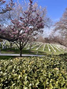 Arlington