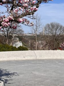 View From Kennedy Graves