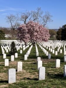 Arlington
