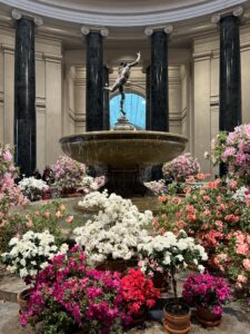 Museum Fountain